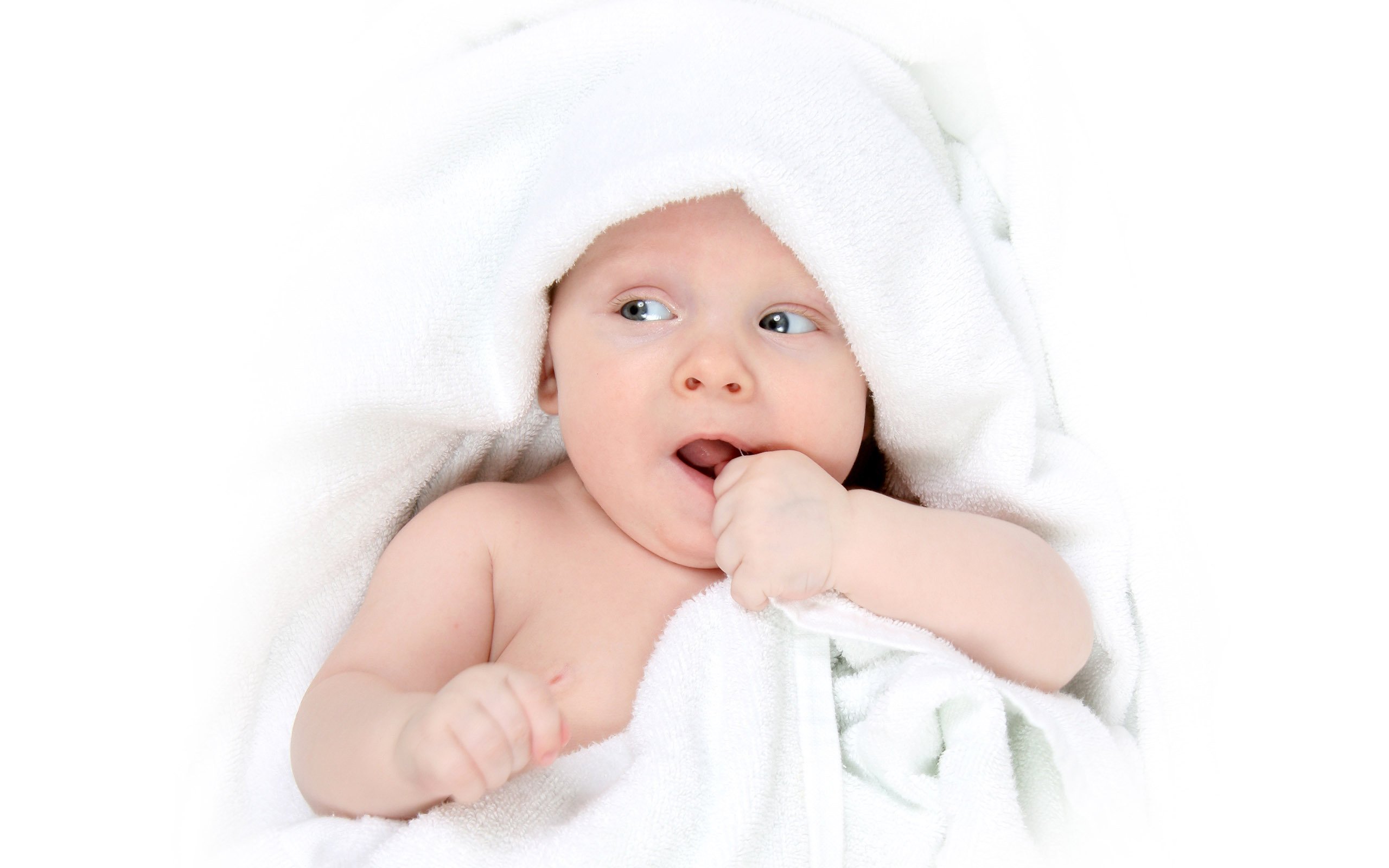 呼和浩特供卵代生试管婴儿成功率多少